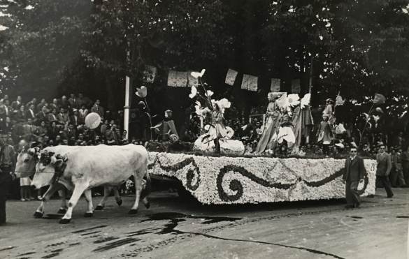 1952 Corso di Fiori - Collezione BIblioteca G.D.Romagnosi: Giugno 1952 - n. 29 Pianeta in fiore, carro grande trainato da buoi
