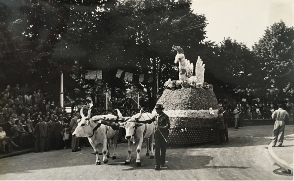 1951 Corso di Fiori - Collezione BIblioteca G.D.Romagnosi: Giugno 1951 - n. 21 La chioccia con pulcini, carro piccolo presentato dal Gruppo Marzano