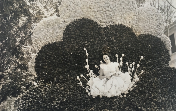 1951 Corso di Fiori - Collezione BIblioteca G.D.Romagnosi: Giugno 1951 - Fanciulla circondata da fiori sul carro I Matrignoni Bonchi