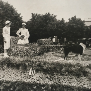 1953_birba_tra_i_fiori_11_bis