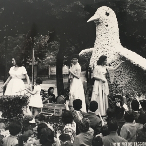 1953_vola_colomba_53