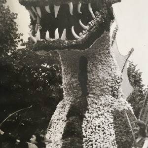 1955 Corso di Fiori - Collezione BIblioteca G.D.Romagnosi