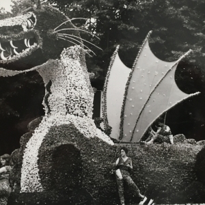 1955 Corso di Fiori - Collezione BIblioteca G.D.Romagnosi