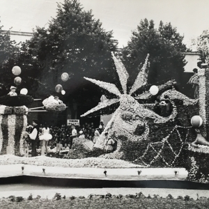 1955 Corso di Fiori - Collezione BIblioteca G.D.Romagnosi: Giugno 1955 - carro gigante n. 42  Luna Park
