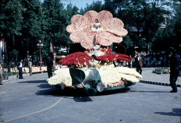 1958 Corso di Fiori - Collezione BIblioteca G.D.Romagnosi: Giugno 1958 - Carro n. 5 Fiore tra i Fiori (categoria gigante)
