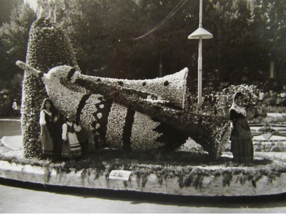 1960 Corso di Fiori - Collezione BIblioteca G.D.Romagnosi: 19 giugno 1960 - Carro n 22 Basilicata