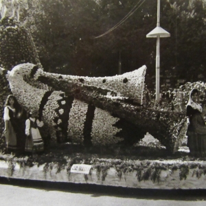 1960 Corso di Fiori - Collezione BIblioteca G.D.Romagnosi