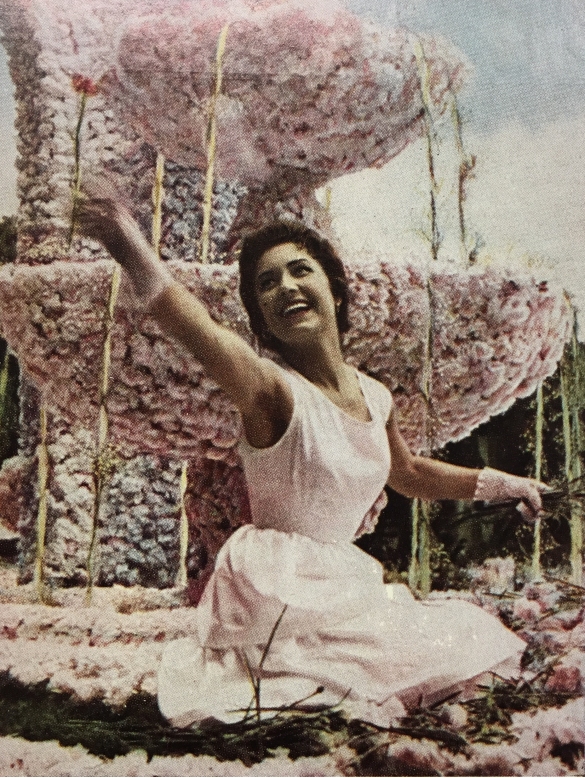 Corso dei Fiori: Anni '50 del Novecento - Fanciulla sul carro fiorito durante la sfilata saluta la folla