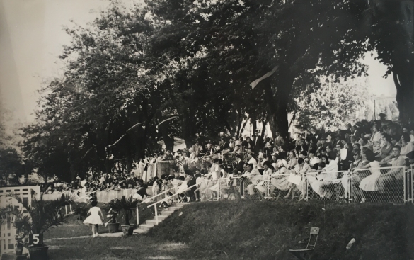 Concorso Ippico di Salsomaggiore- Collezione Biblioteca Comunale G.D. Romagnosi: 10-13 agosto 1960 - Il folto pubblico assiste alle gare della 38^ edizione del concorso