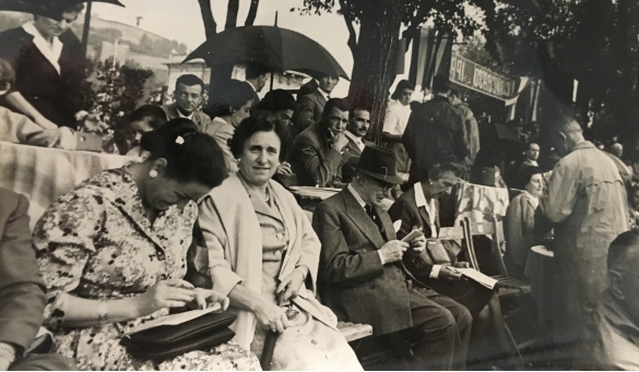 Concorso Ippico di Salsomaggiore- Collezione Biblioteca Comunale G.D. Romagnosi: 10-13 agosto 1960 - Pubblico elegante partecipa all'evento