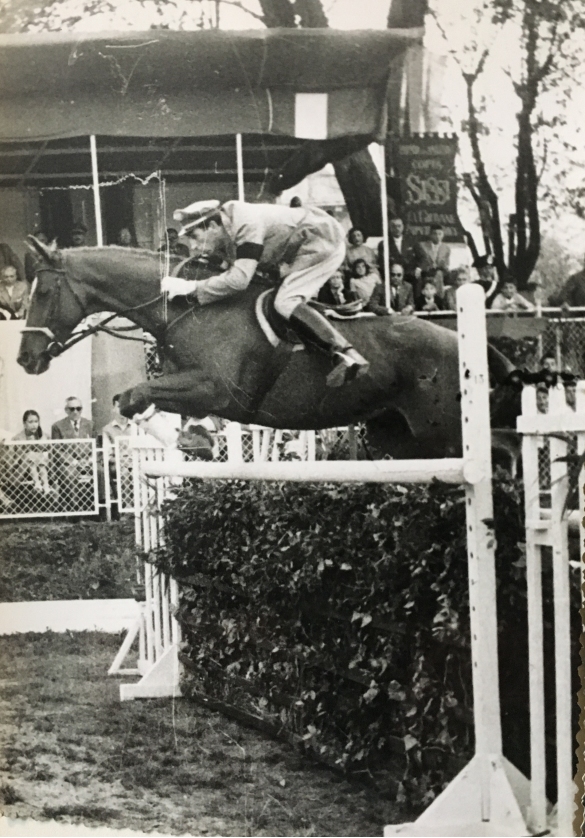 Concorso Ippico di Salsomaggiore- Collezione Biblioteca Comunale G.D. Romagnosi: 10-13 agosto 1960 - Cavallo e cavaliere nel salto dell'ostacolo