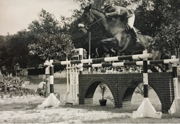 Concorso Ippico di Salsomaggiore- Collezione Biblioteca Comunale G.D. Romagnosi: 10-13 agosto 1960 - Cavallo e cavaliere nel salto dell'ostacolo