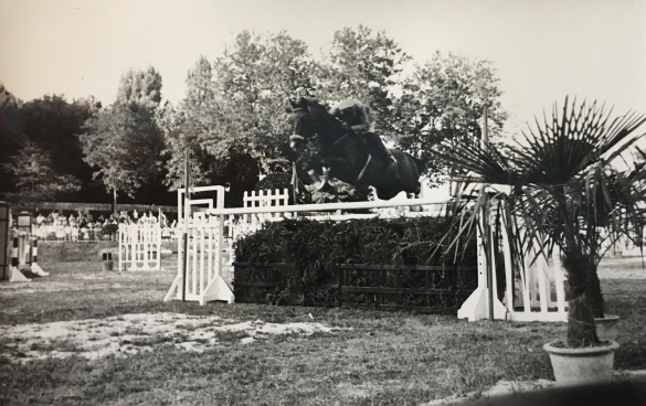 Concorso Ippico di Salsomaggiore- Collezione Biblioteca Comunale G.D. Romagnosi: 13 agosto 1960 - Fasi del percorso di gara