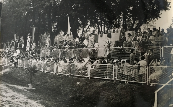 Concorso Ippico di Salsomaggiore- Collezione Biblioteca Comunale G.D. Romagnosi: 10-13 agosto 1960 - La platea con il pubblico intervenuto al prestigioso evento