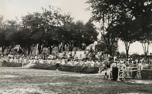Concorso Ippico di Salsomaggiore- Collezione Biblioteca Comunale G.D. Romagnosi: 10-13 agosto 1960 - La platea con il pubblico