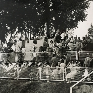 Concorso Ippico di Salsomaggiore- Collezione Biblioteca Comunale G.D. Romagnosi: 10-13 agosto 1960 - Vista particolare sul pubblico presente