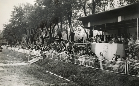 Concorso Ippico di Salsomaggiore- Collezione Biblioteca Comunale G.D. Romagnosi: 10-13 agosto 1960 - L'allestimento delle gradinate con il pubblico