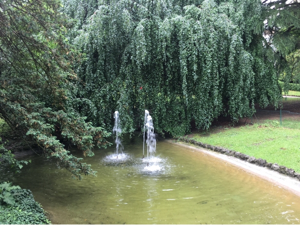 Il Laghetto di Parco Mazzini: 