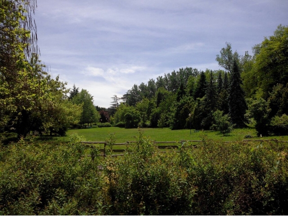 Parco Porcellini: 