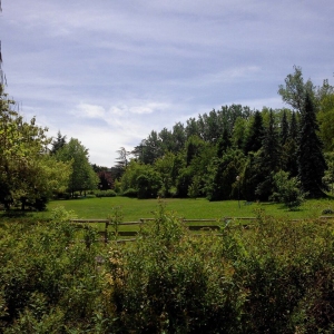 Parco Porcellini: 