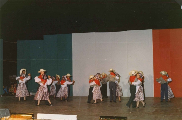 Spettacolo Folkloristico - Collezione Biblioteca Comunale G.D. Romagnosi: 