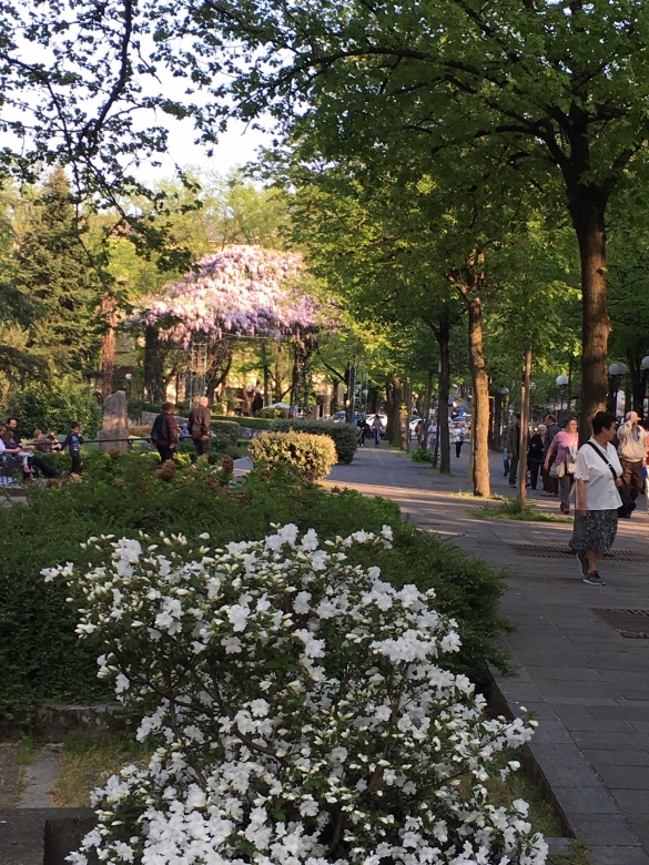 Viale Romagnosi: 