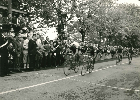 1966 Corsa di Coppi - Collezione Biblioteca comunale G.D. Romagnosi: 12 Ottobre 1966 - 3^ edizione della gara, partita da Tortona con arrivo a Salsomaggiore; ciclisti in volata al traguardo	