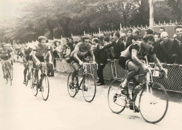1966 Corsa di Coppi - Collezione Biblioteca comunale G.D. Romagnosi: 12 ottobre 1966 - Ciclisti in gara nella salita di viale Marconi. In terza posizione Vittorio Adorni di Parma