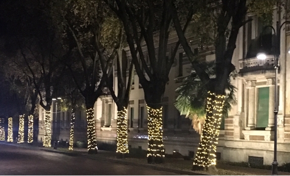 Luminarie di Natale: Festa di luci in città	