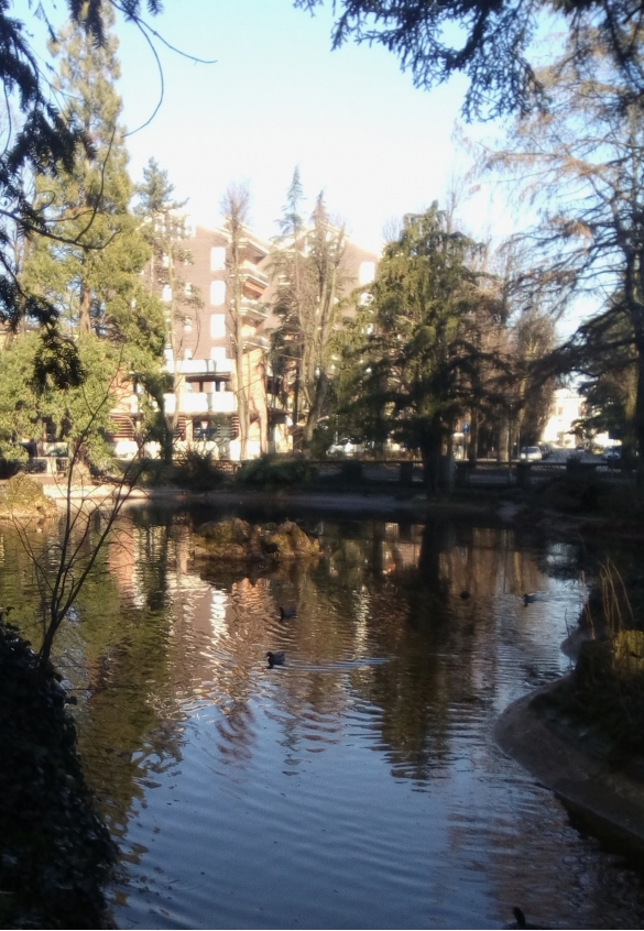 Parco Mazzini: Riflessi sull'acqua