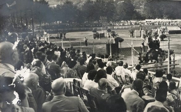 Concorso Ippico Nazionale - Collezione Biblioteca Comunale G. D. Romagnosi: 1951 (data incerta) - Il pubblico assiste alle gare di qualifica dell'evento sporivo
