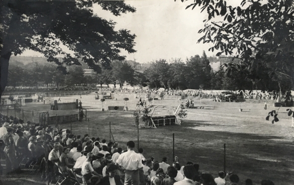 Concorso Ippico Nazionale - Collezione Biblioteca Comunale G. D. Romagnosi: 1951 (data incerta) - Il pubblico e l'arena delle gare ippiche