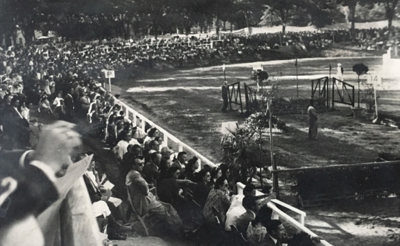 Concorso Ippico Nazionale - Collezione Biblioteca Comunale G. D. Romagnosi: 1951 (data incerta) - Il pubblico assiste all'evento sportivo