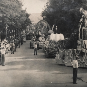 1950 Corso di Fiori - Collezione BIblioteca G.D.Romagnosi