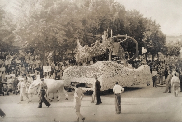1950 Corso di Fiori - Collezione BIblioteca G.D.Romagnosi: Giugno 1950 - I carri fioriti, turati dai buoi, sfilano passando davanti alla tribuna
