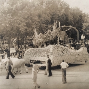 1950 Corso di Fiori - Collezione BIblioteca G.D.Romagnosi