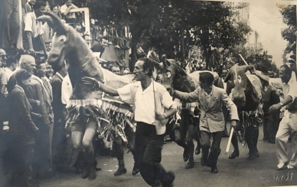 Sagra della Brugnola - Corsa delle Mule: Dal 1946 al 1949 si svolse in piazza Brugnola, in occasione della sagra rionale, la corsa delle mule. Il percorso circolare, da ripetere 3 volte, comprendeva via Milano e via Marzaroli.