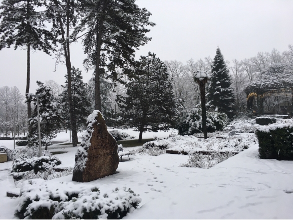 Nevicata: 
