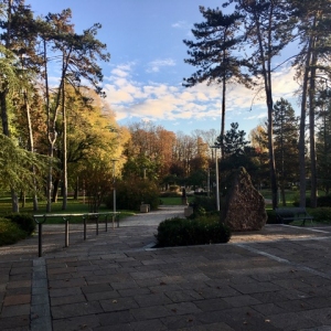 Il sole fa capolino sul parco