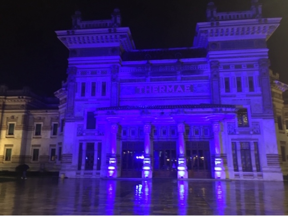 Terme Lorenzo Berzieri: GDM - Giornata Mondiale del Diabete