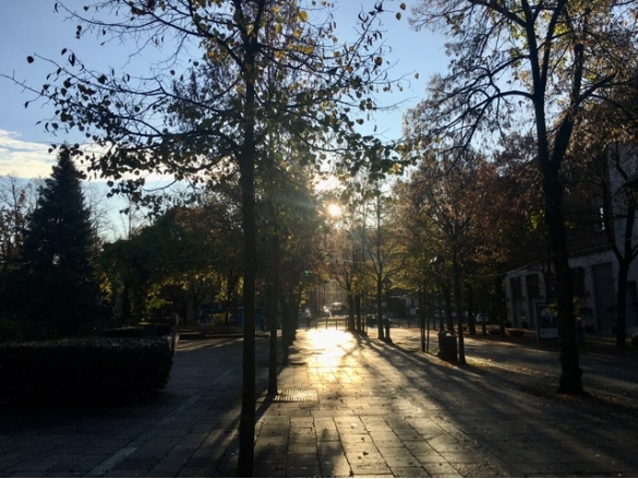 Vile Romagnosi - Luci del mattino: 