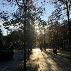 Vile Romagnosi - Luci del mattino