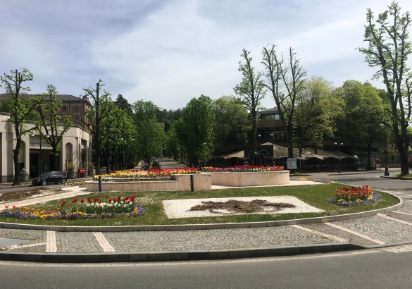 Primavera in Fiore: La forza della natura ... 