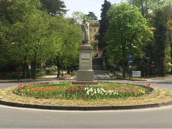 Primavera in Fiore: La forza della natura ... 