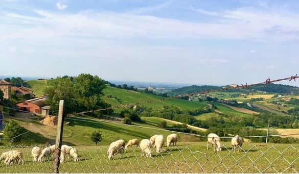Le colline di Cangelasio: 