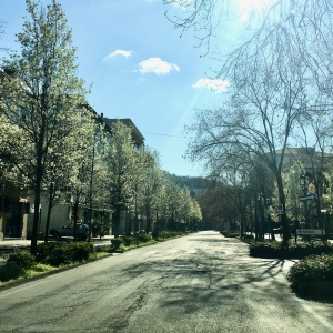 Viale Matteotti