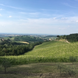 Le dolci colline di Canfgelasio