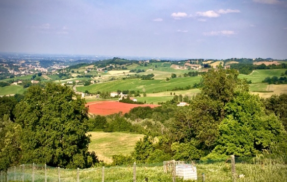 Le dolci colline di Cangelasio: 