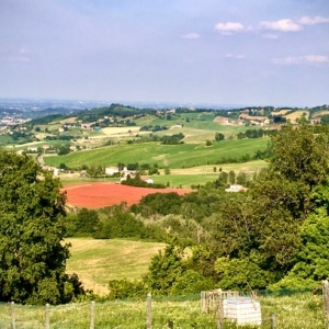 Le dolci colline di Cangelasio