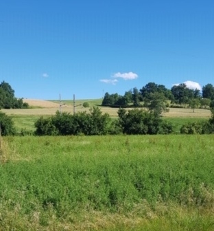 Le colline sulla ciclabile: 